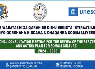 SHIRKA WADATASHIGA QARAN EE DIB-U-EEGISTA ISTIRAATIIJIYADDA IYO QORSHAHA HIDDAHA & DHAQANKA SOOMAALIYEED