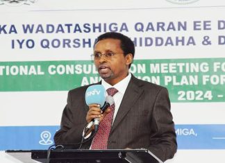 XIRITAANKA SHIRKA WADATASHIGA QARAN EE DIB-U-EEGISTA ISTIRAATIIJIYADDA IYO QORSHAHA HIDDAHA & DHAQANKA SOOMAALIYEED